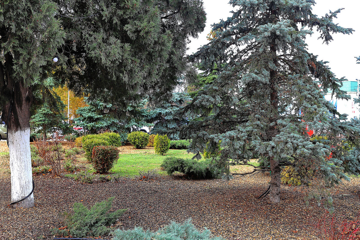 На проспекте - Юрий Гайворонскiий