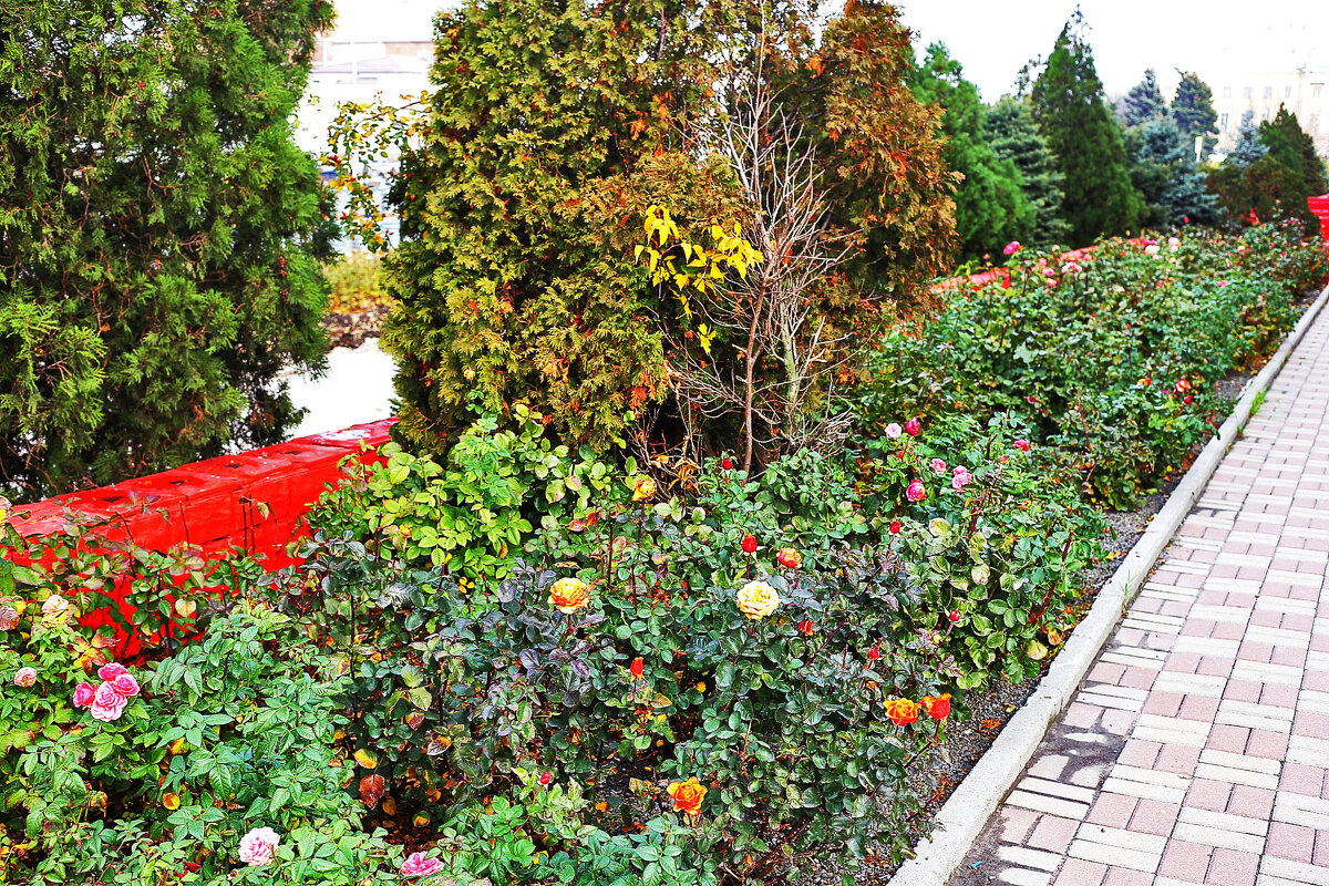 Возле мерии - Юрий Гайворонскiий Возле мерии - Юрий Гайворонскiий