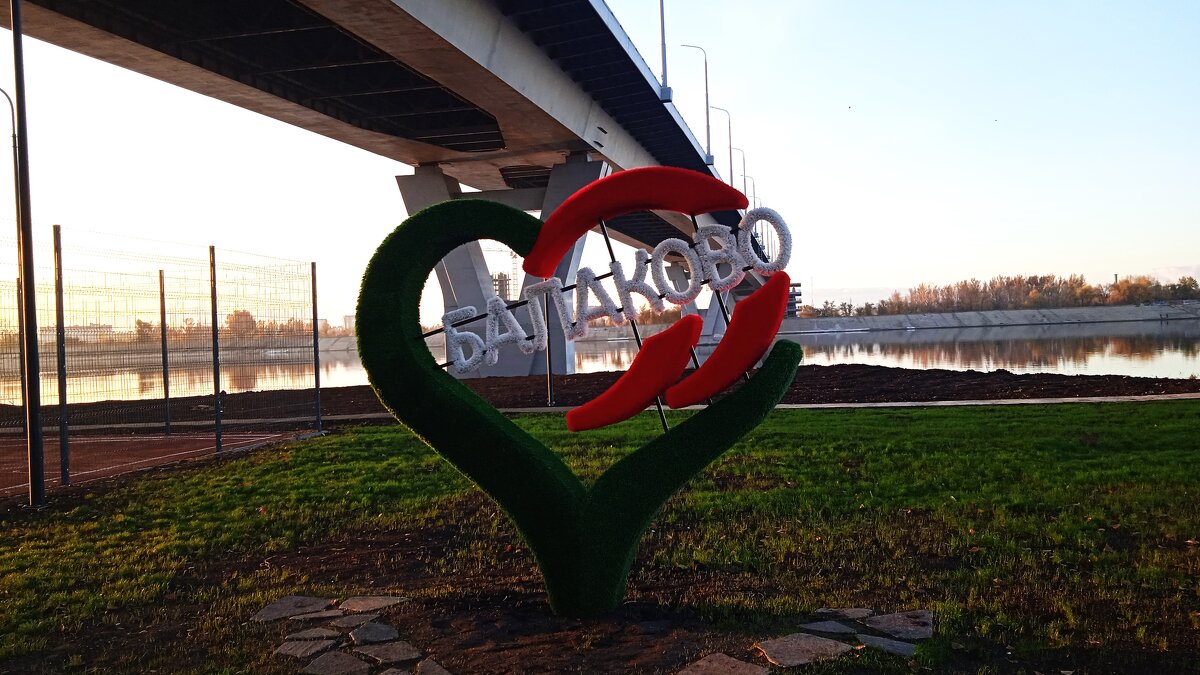 ............. - Елена Шаламова