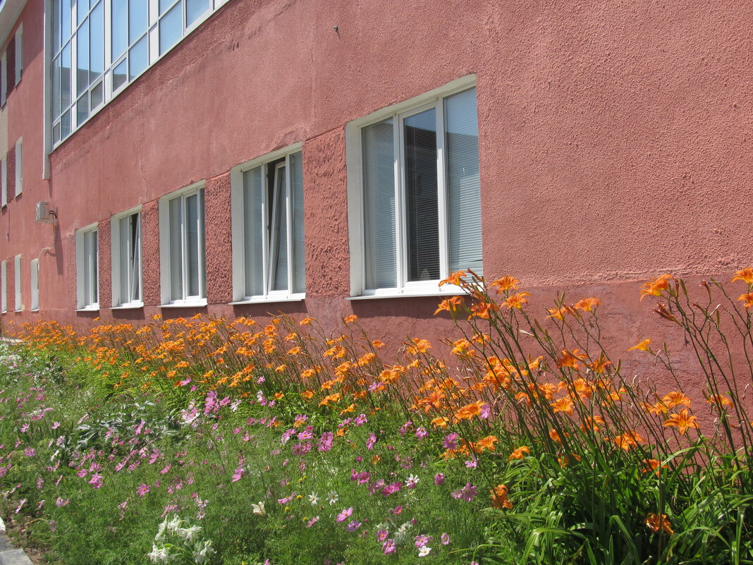 июль - Елена Шаламова