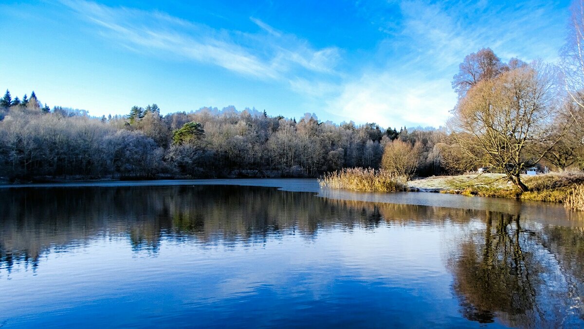 Ноябрьское утро на озере. - Милешкин Владимир Алексеевич 