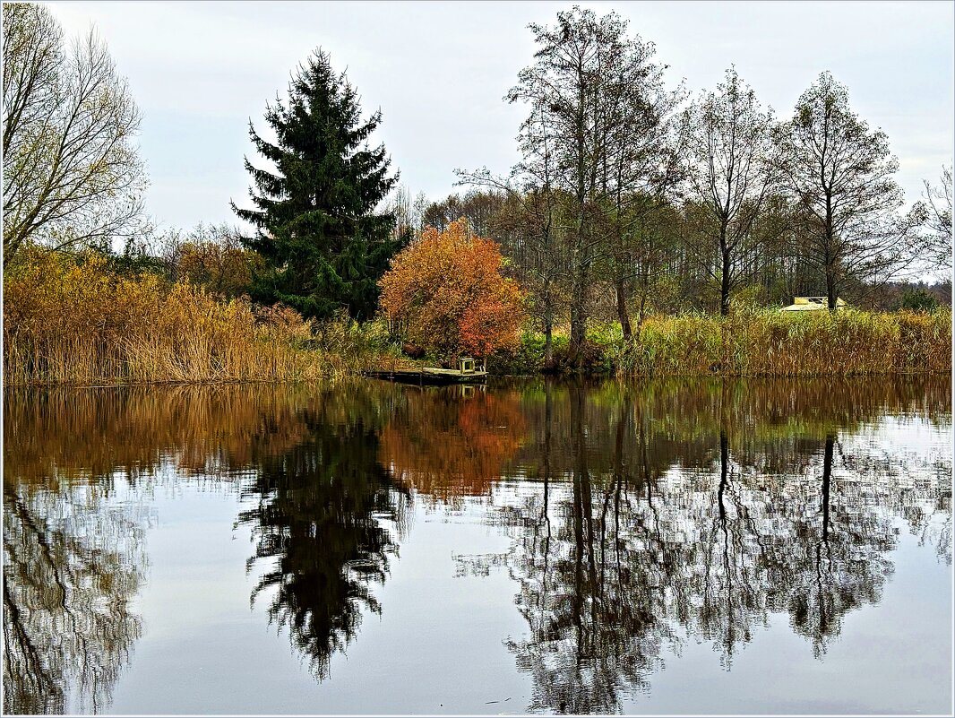 Картинка осени. - Валерия Комова