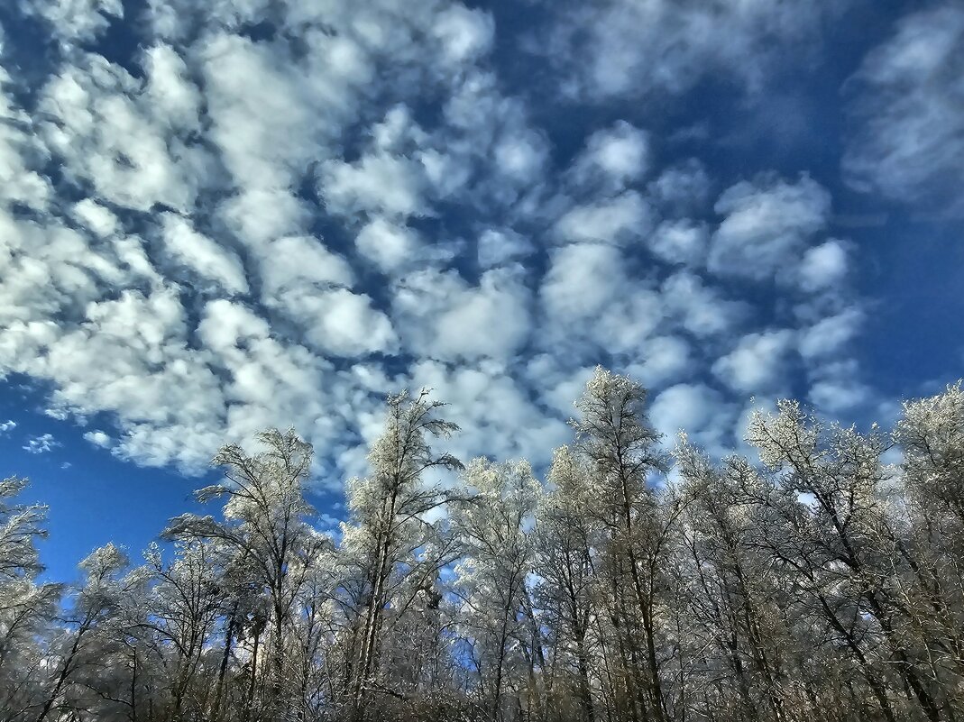 Необычные облока - Мария Яковлева