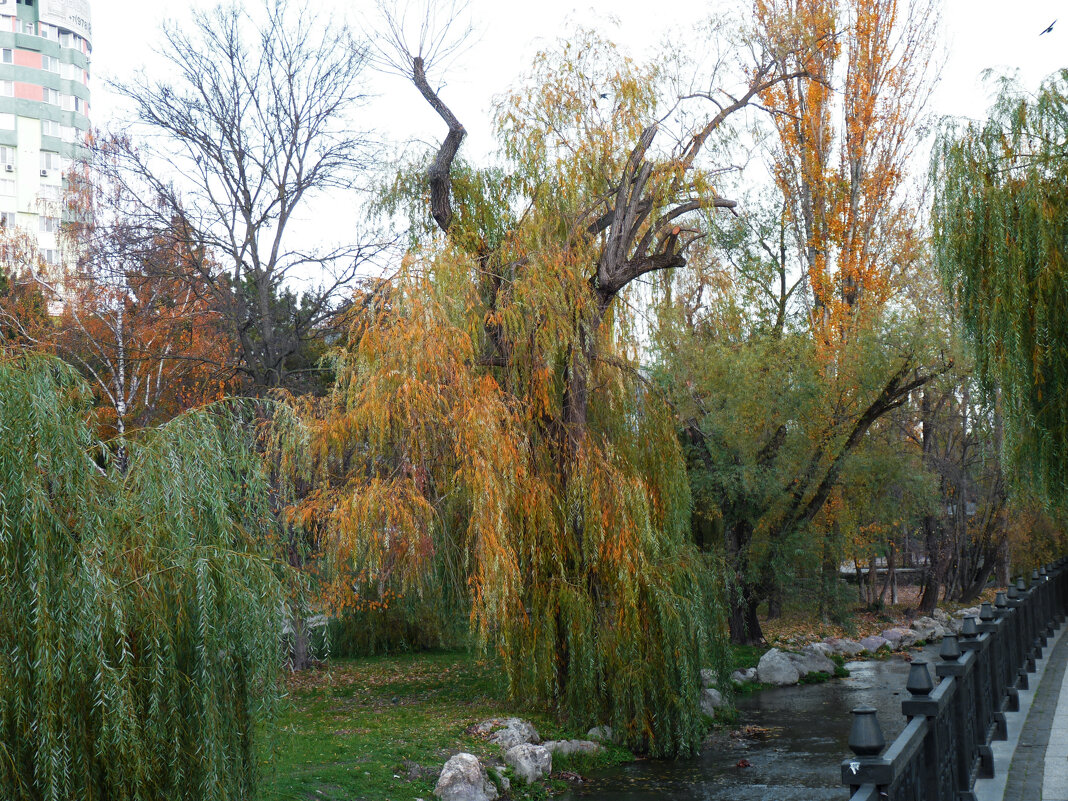 Осень золотая - Валентин Семчишин