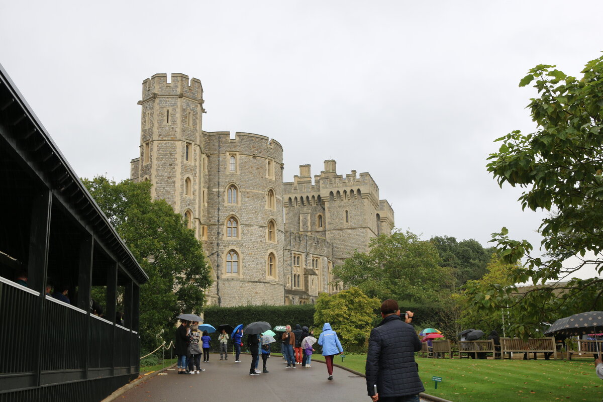 Дождь в Виндзорском замке - Ольга Дождь в Виндзорском замке - Ольга