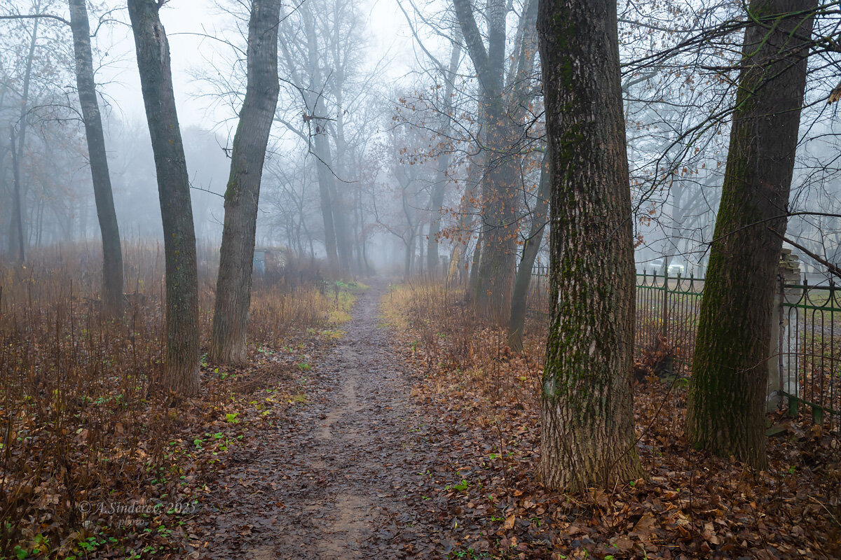 Осеннее эхо в сером свете - Александр Синдерёв