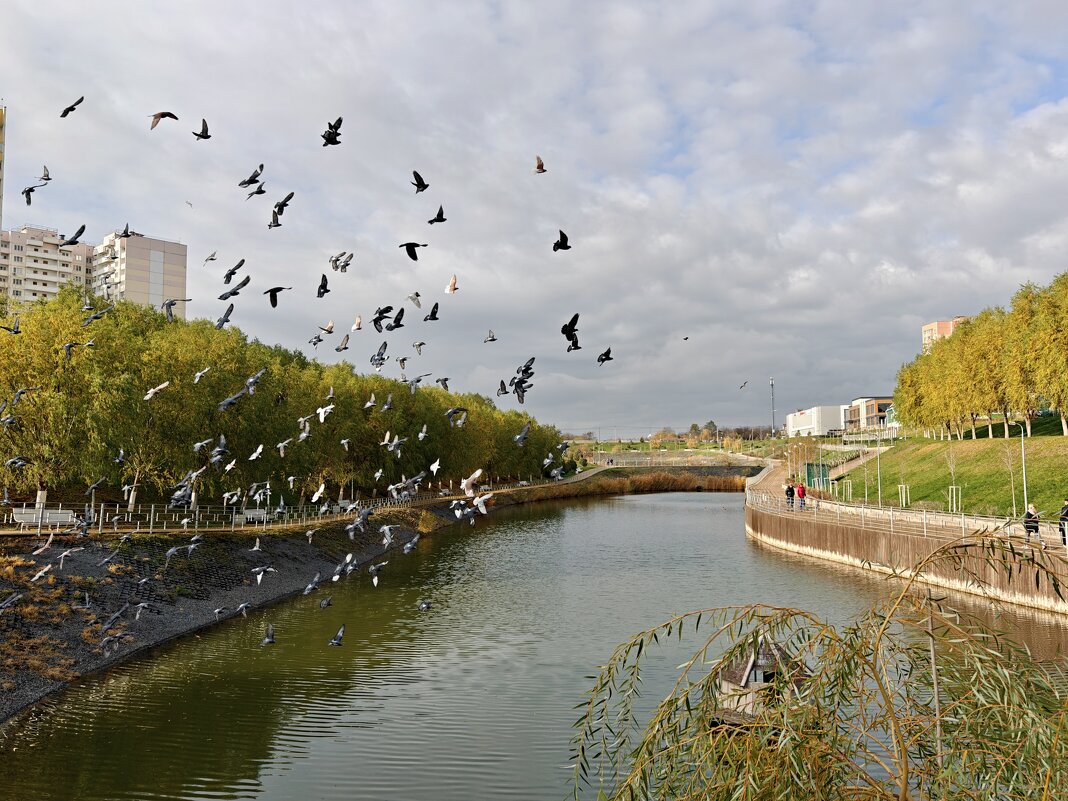 Ростовские зарисовки - Александр Гапоненко