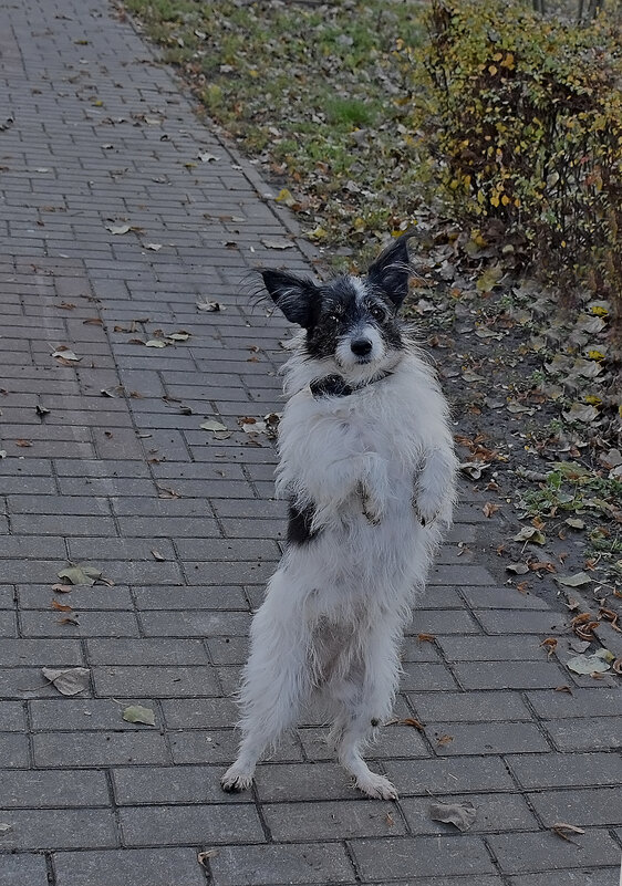 Не хочу домой! Буду позировать! - Валентина  Нефёдова 