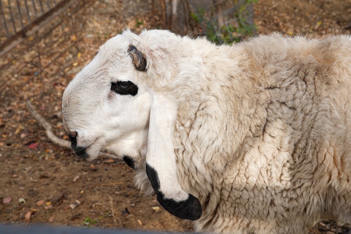 В парке Тайган - Татьяна Тюменка