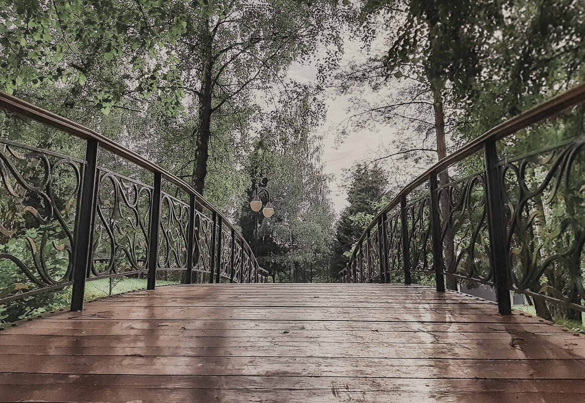 мост в Террабитию - Вадим 