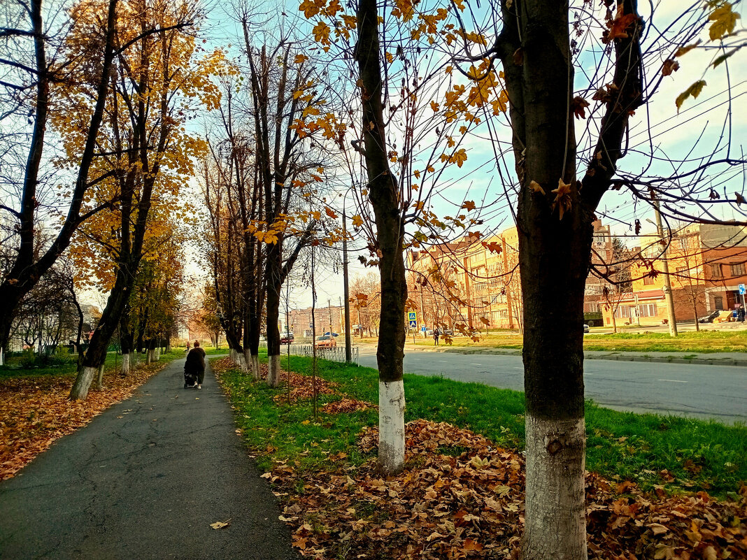 Середина ноября - Татьяна Львова