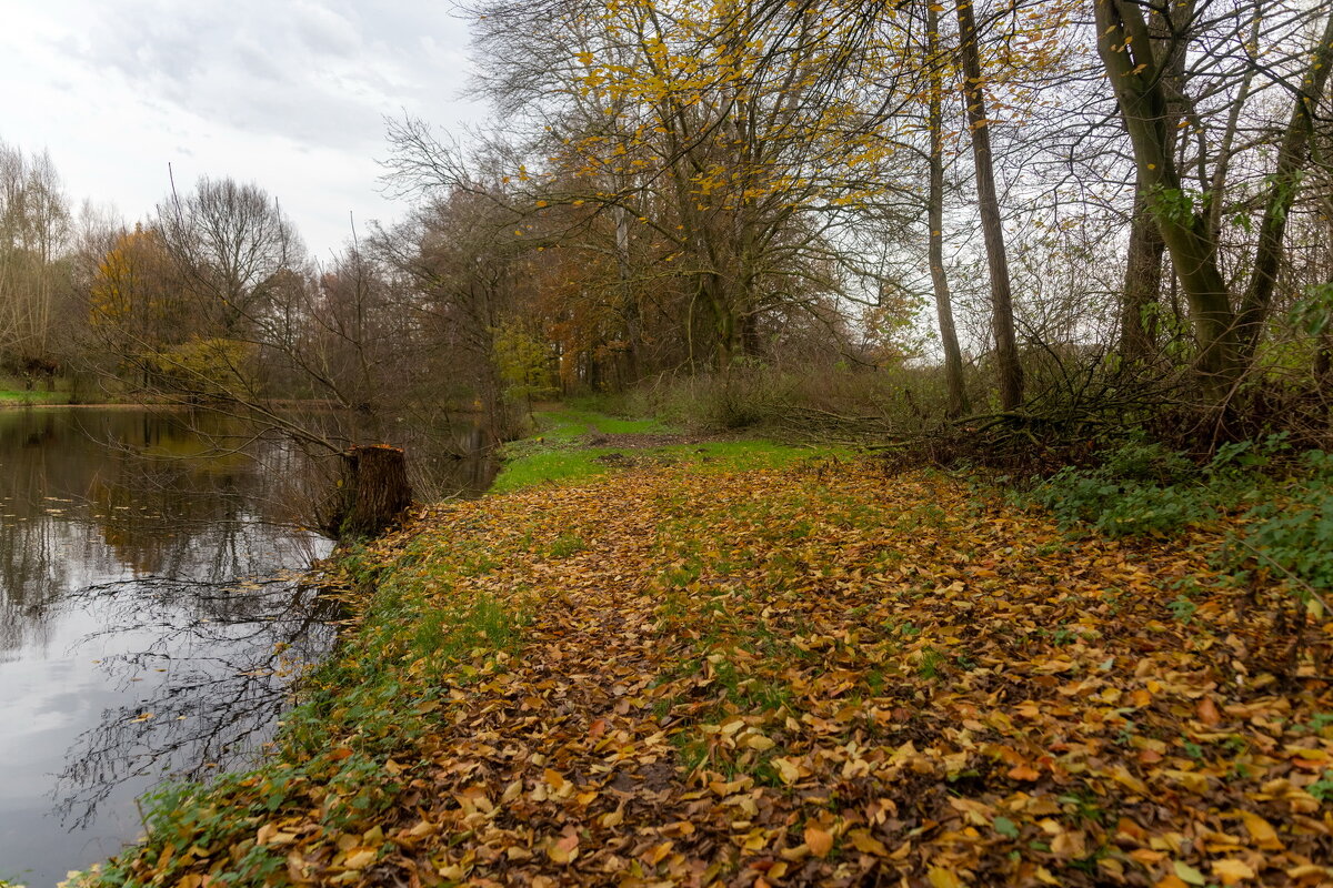 *** - Николай Гирш