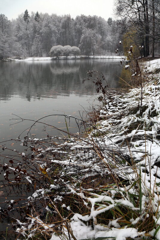 Царицыно утром 15 ноября - Михаил Бибичков Царицыно утром 15 ноября - Михаил Бибичков
