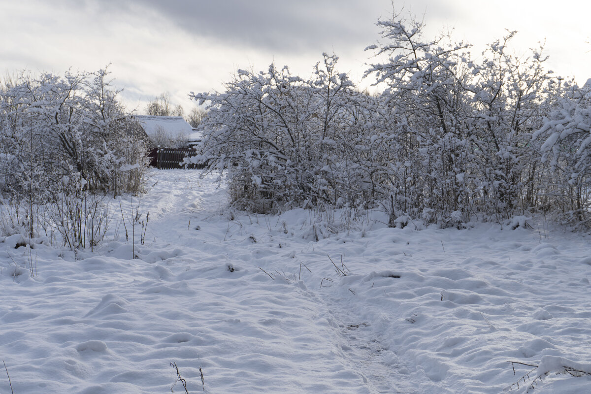 Лег первый снег - Сергей Ц