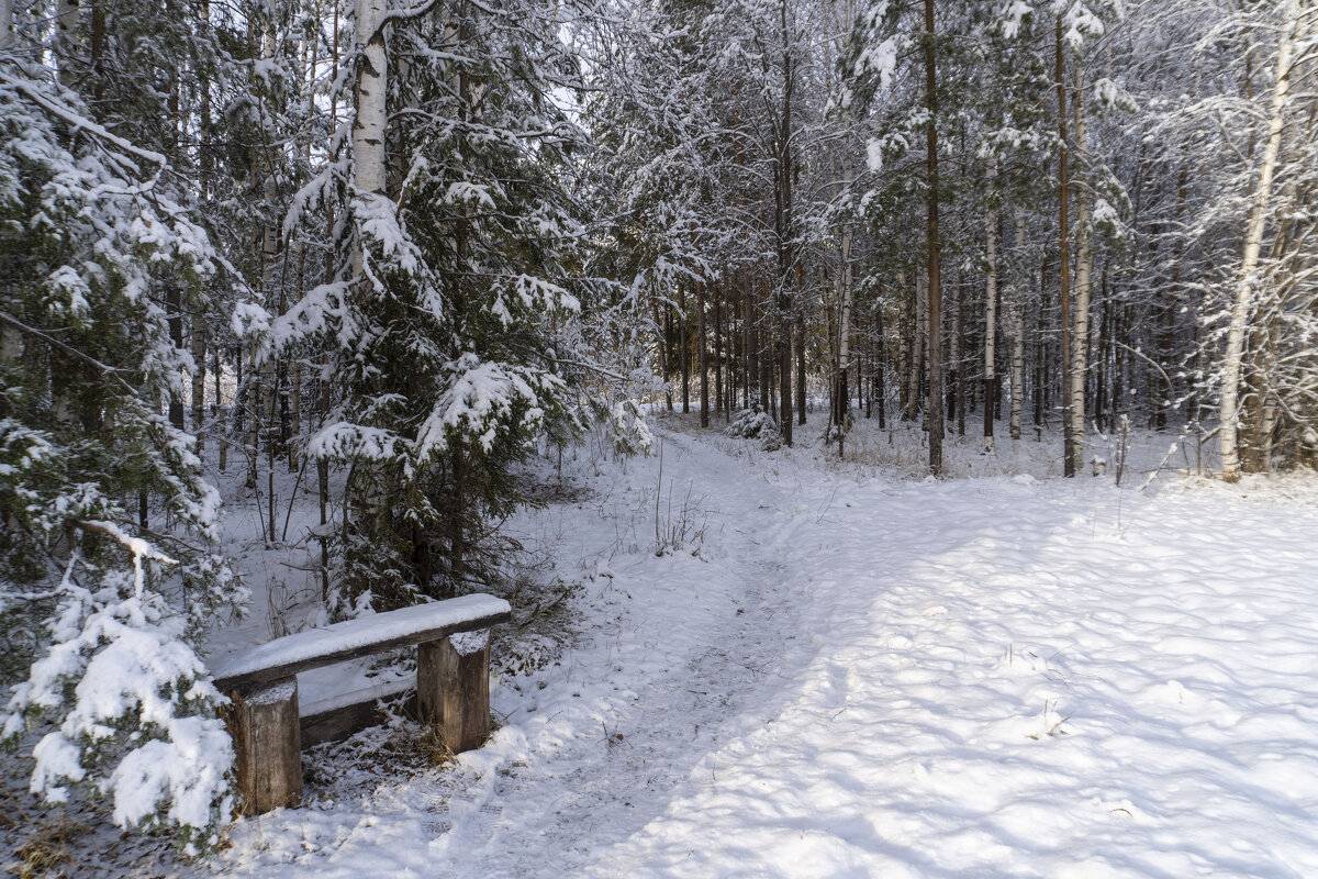 После снегопада - Сергей Ц