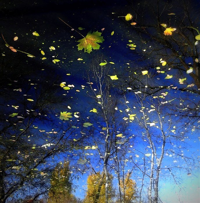 Отражение осени - Оксана Новик 