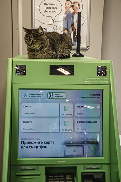 Приложите карту - Петр Фролов