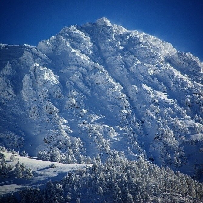 Синие взоры ... - Андрей Любимов