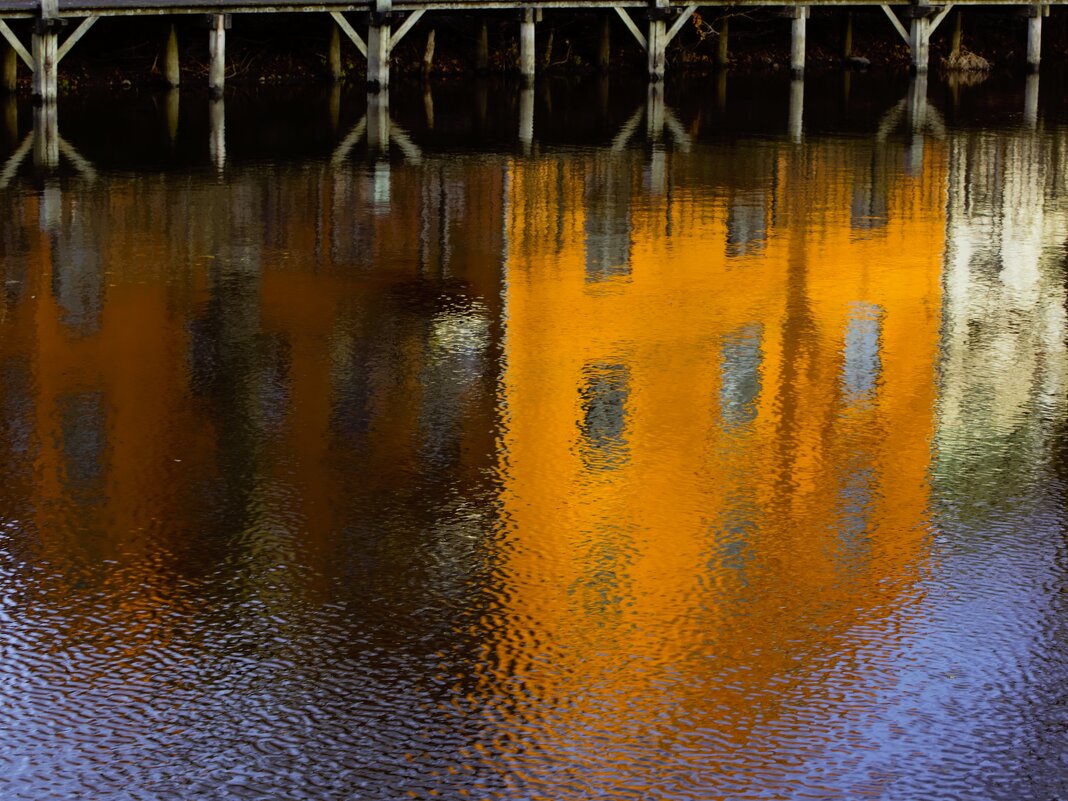 В осенней палитре - liudmila drake