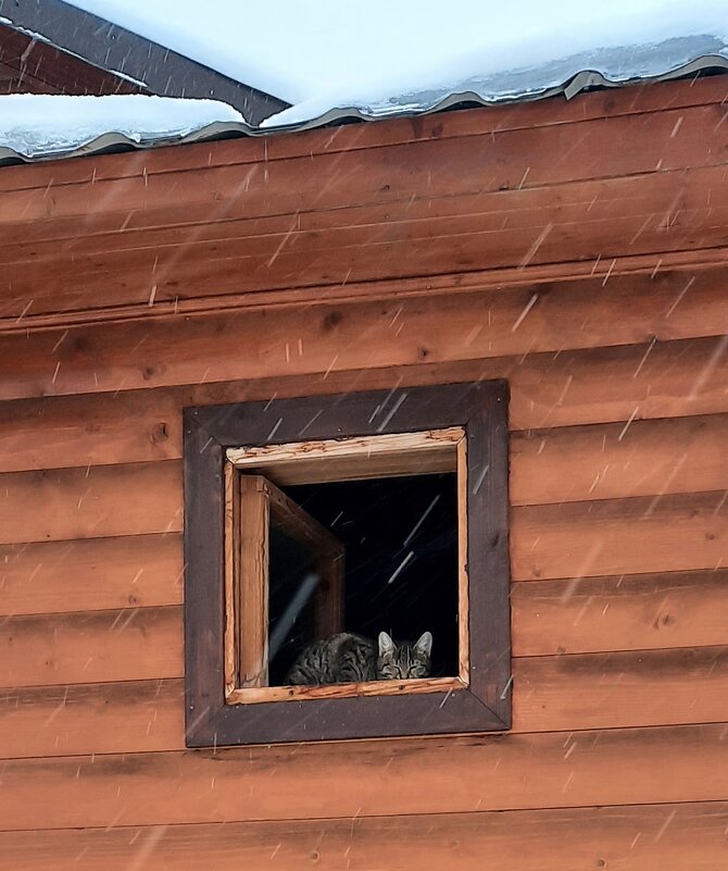 Первый снег - Мария - Maria