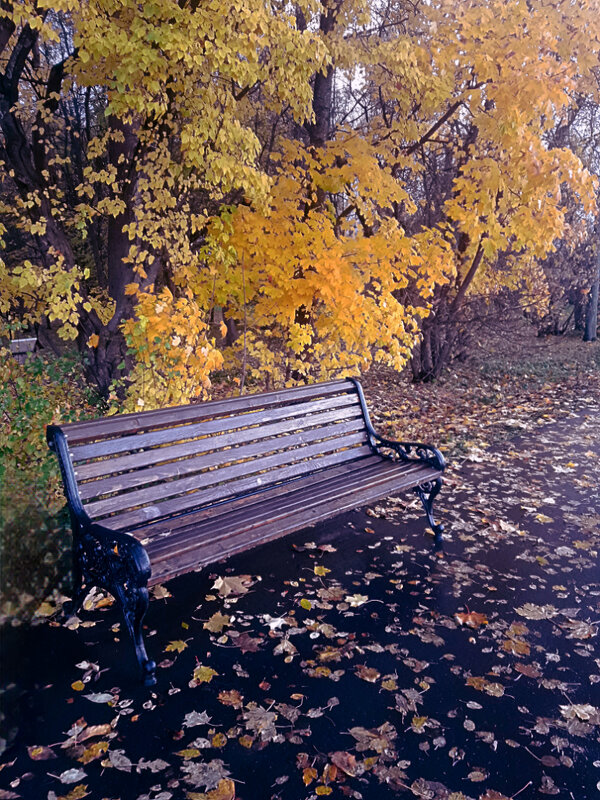 Осень - Сергей Кочнев