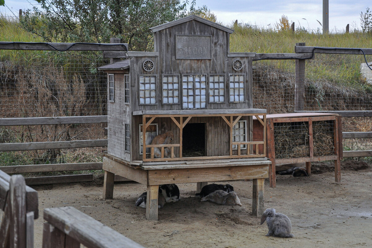 Домик братцев кроликов - Татьяна Машошина