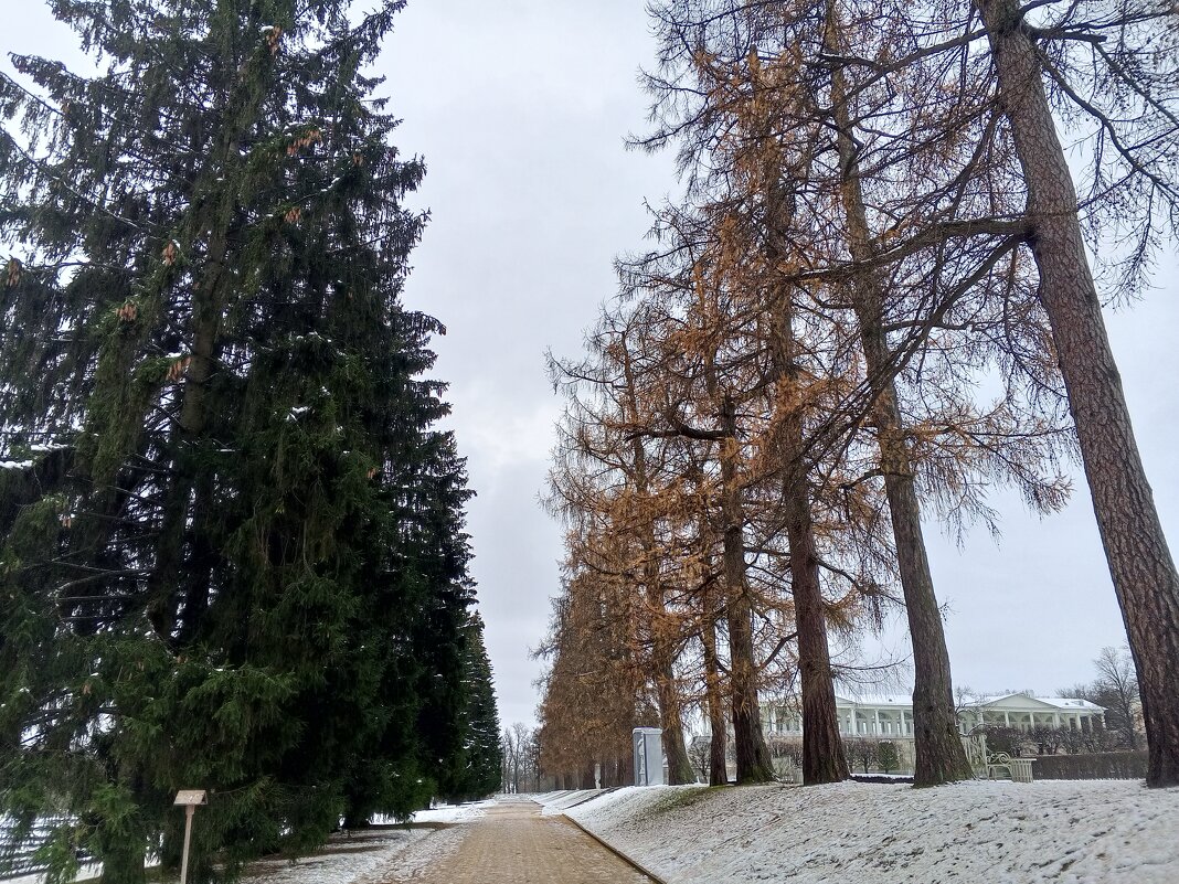 Осень - Сапсан 