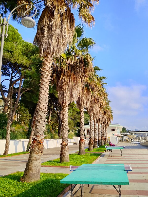 Санаторий Авангард - Tata Wolf Санаторий Авангард - Tata Wolf