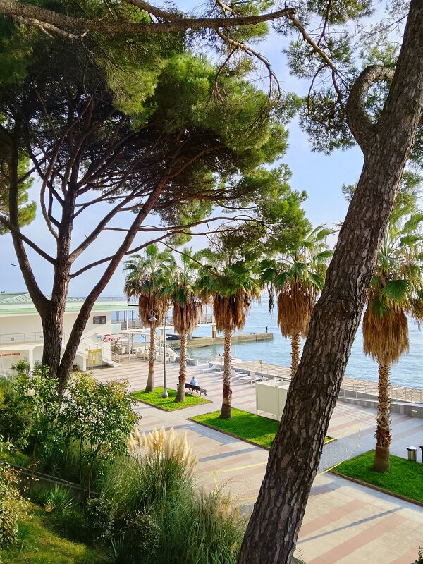 Санаторий Авангард - Tata Wolf