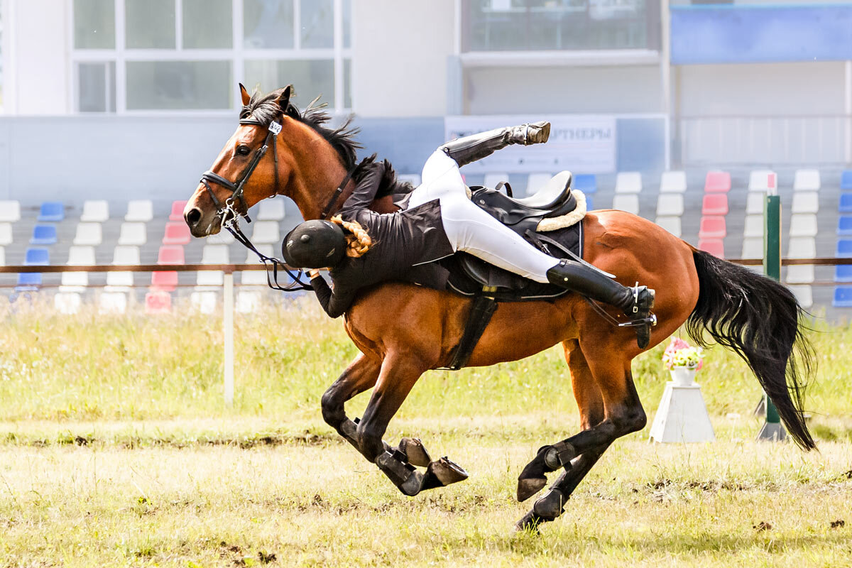 Конкур - SanSan 