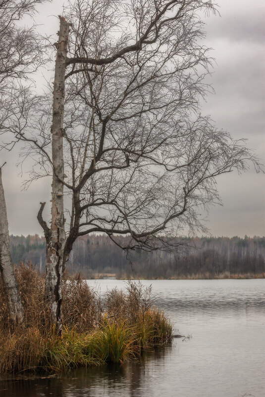 У озера - Michel 