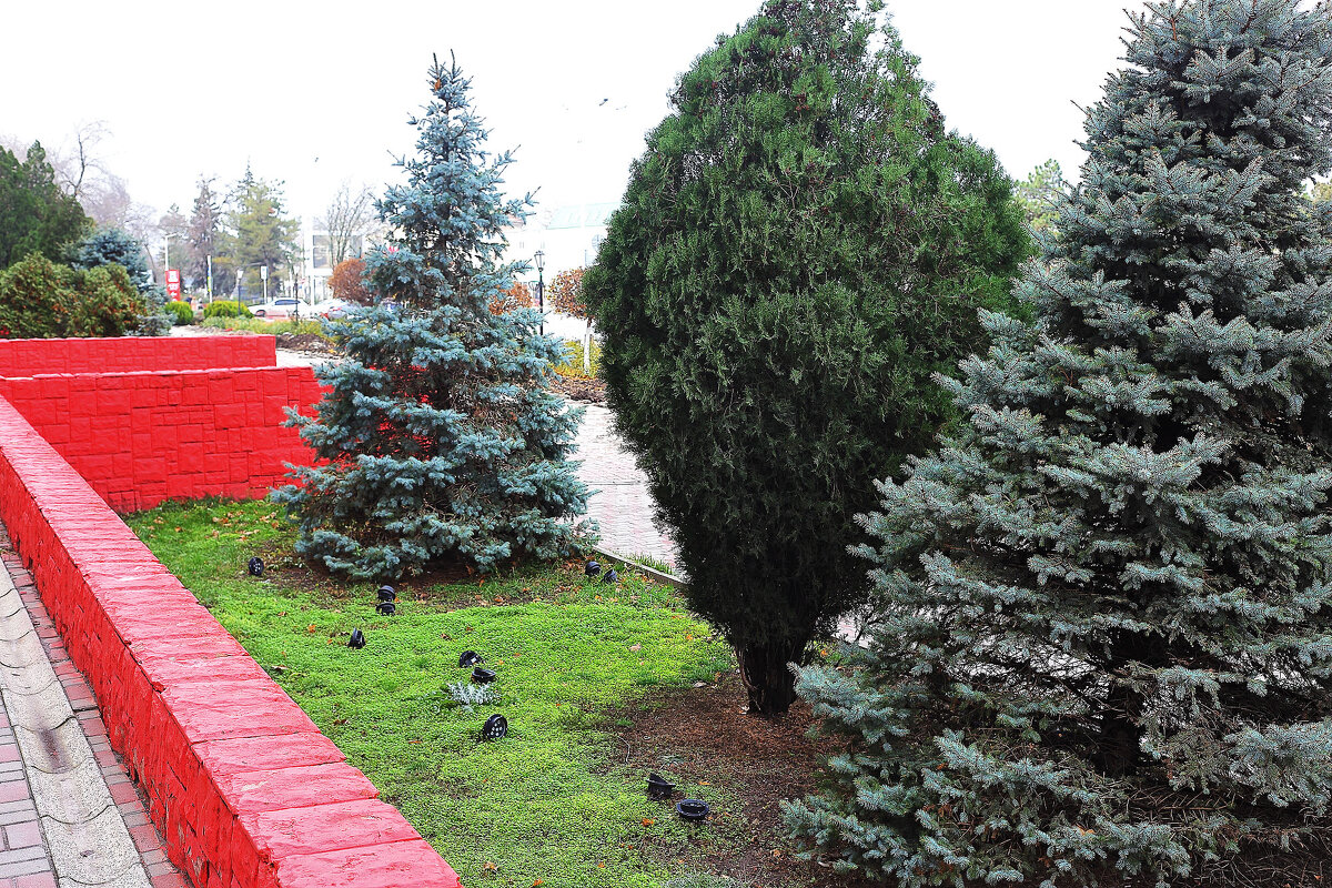 Ёлочки - Юрий Гайворонскiий