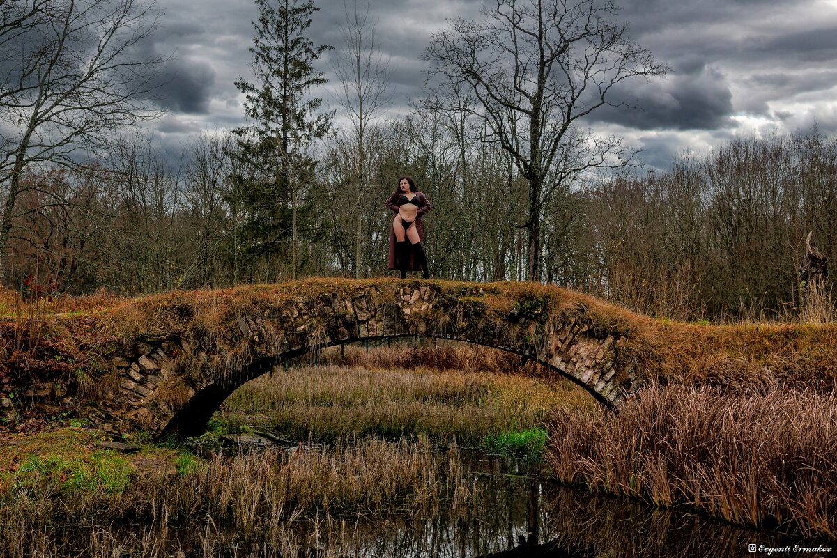 Girl on the bridge - Евгений Ермаков Girl on the bridge - Евгений Ермаков