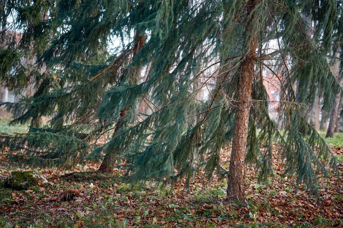 Tallinn, Fotograaf Arkadi Baranov, FEP, Estonia - Аркадий Баранов Arkadi Baranov Tallinn, Fotograaf Arkadi Baranov, FEP, Estonia - Аркадий Баранов Arkadi Baranov