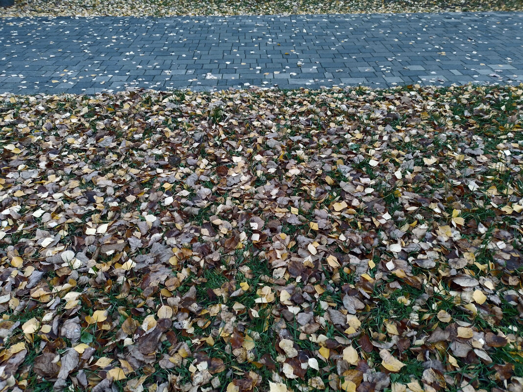 *** - Валентина Береснева