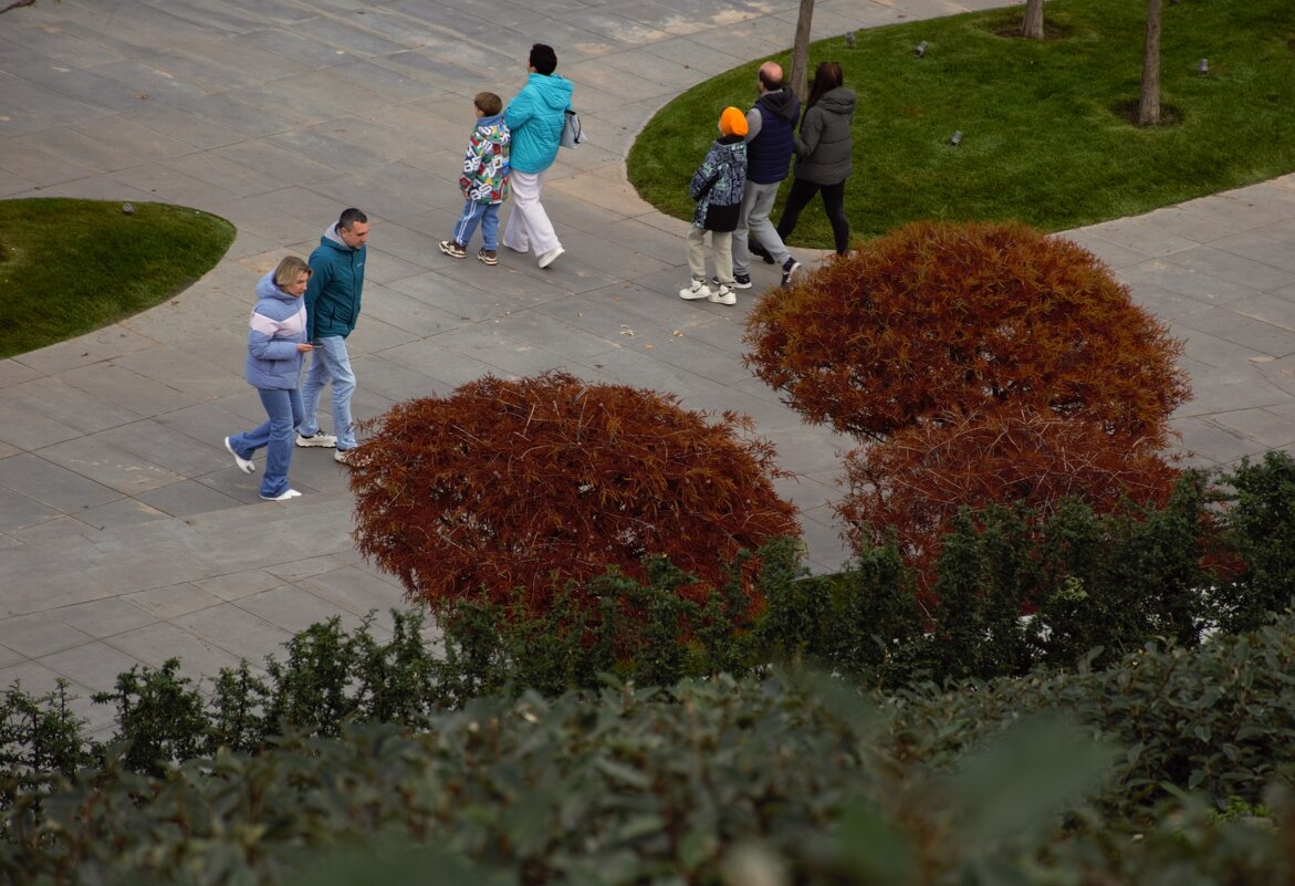 Осенняя прогулка. - Юрий Полторыхин.