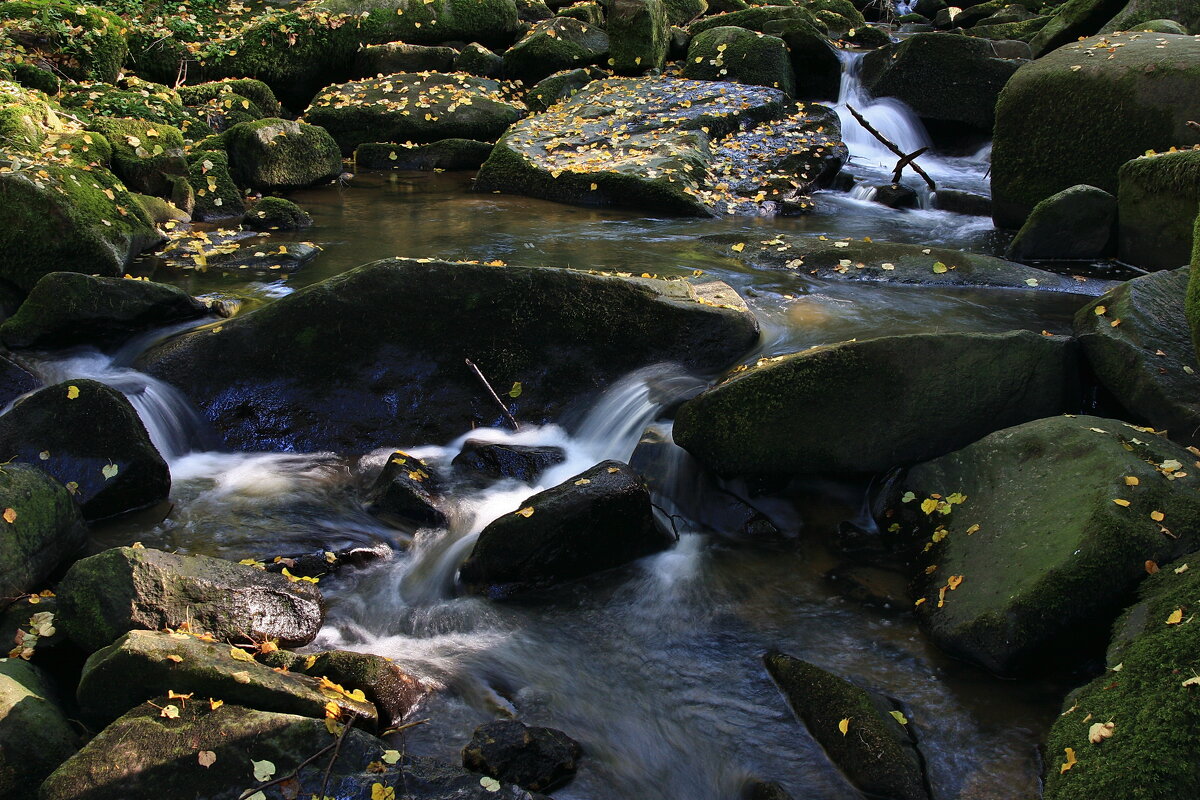 "Серые камни - Копья Драконов" - Ирэн "Серые камни - Копья Драконов" - Ирэн