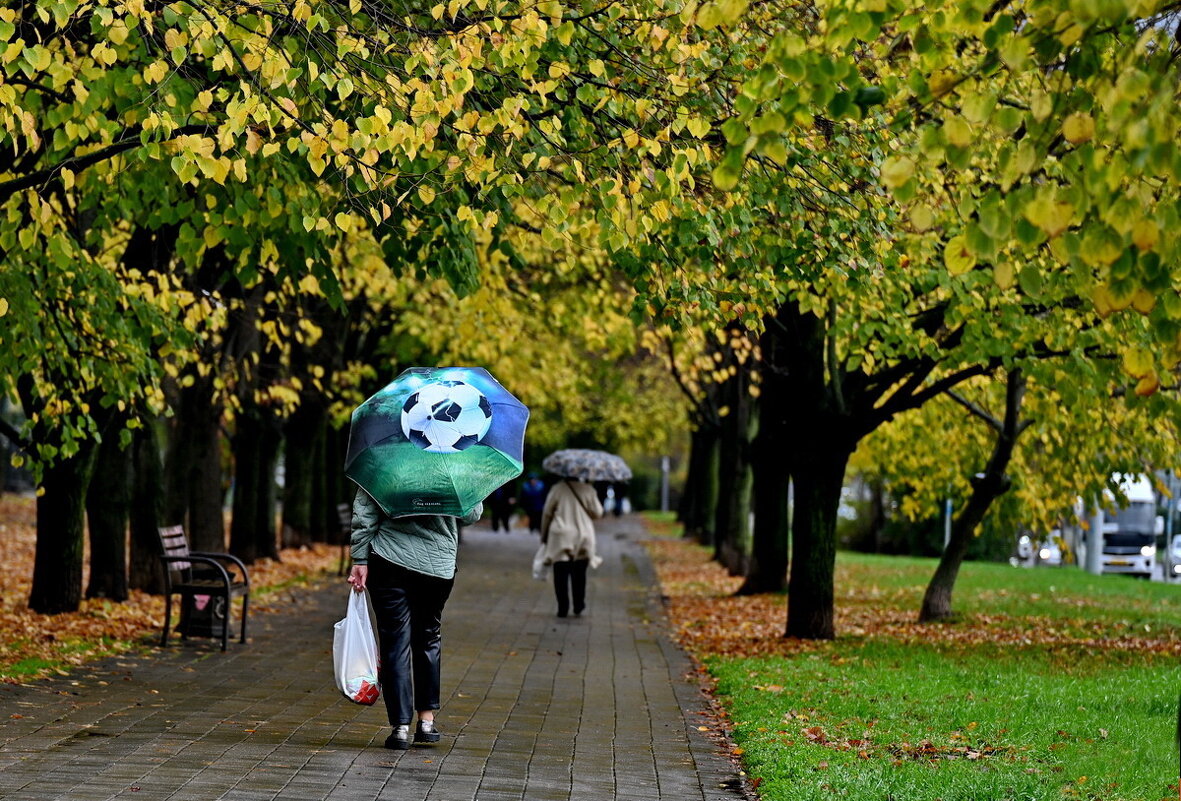 Болельщица... - Николай Саржанов
