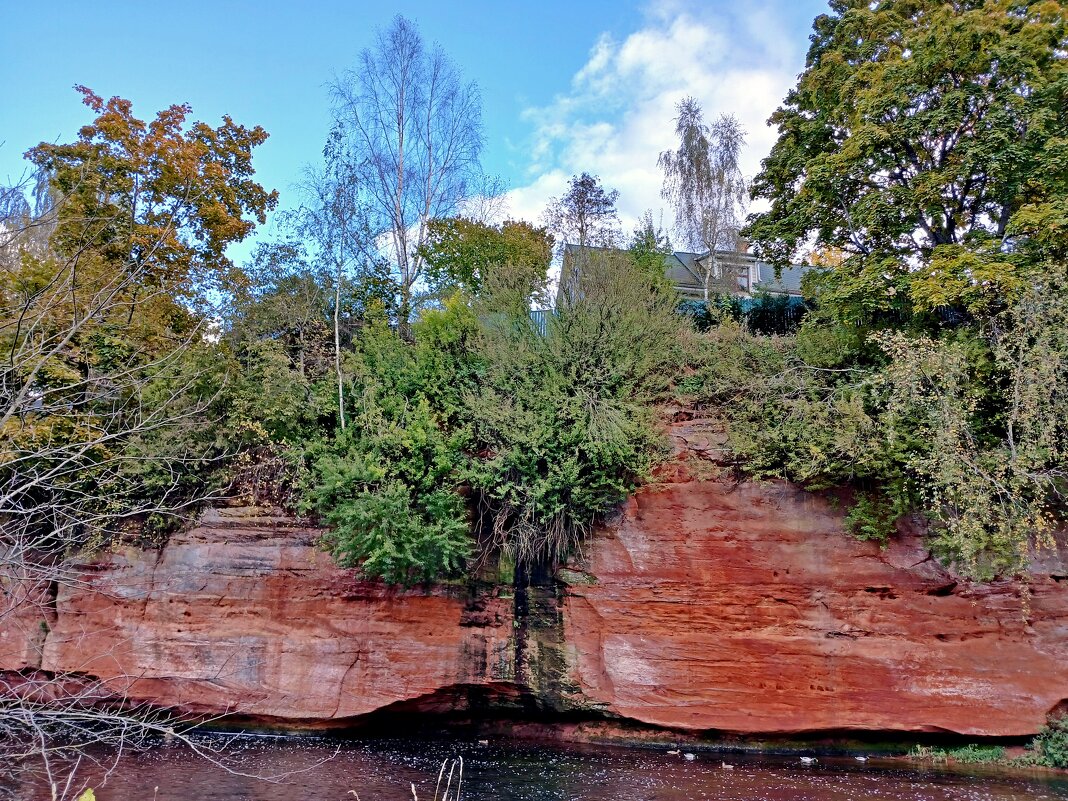 Берега реки Оредеж. - Лия ☼