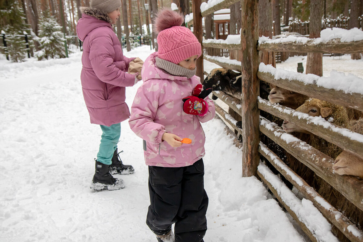Внучки кормят животных. - Андрей Дурапов