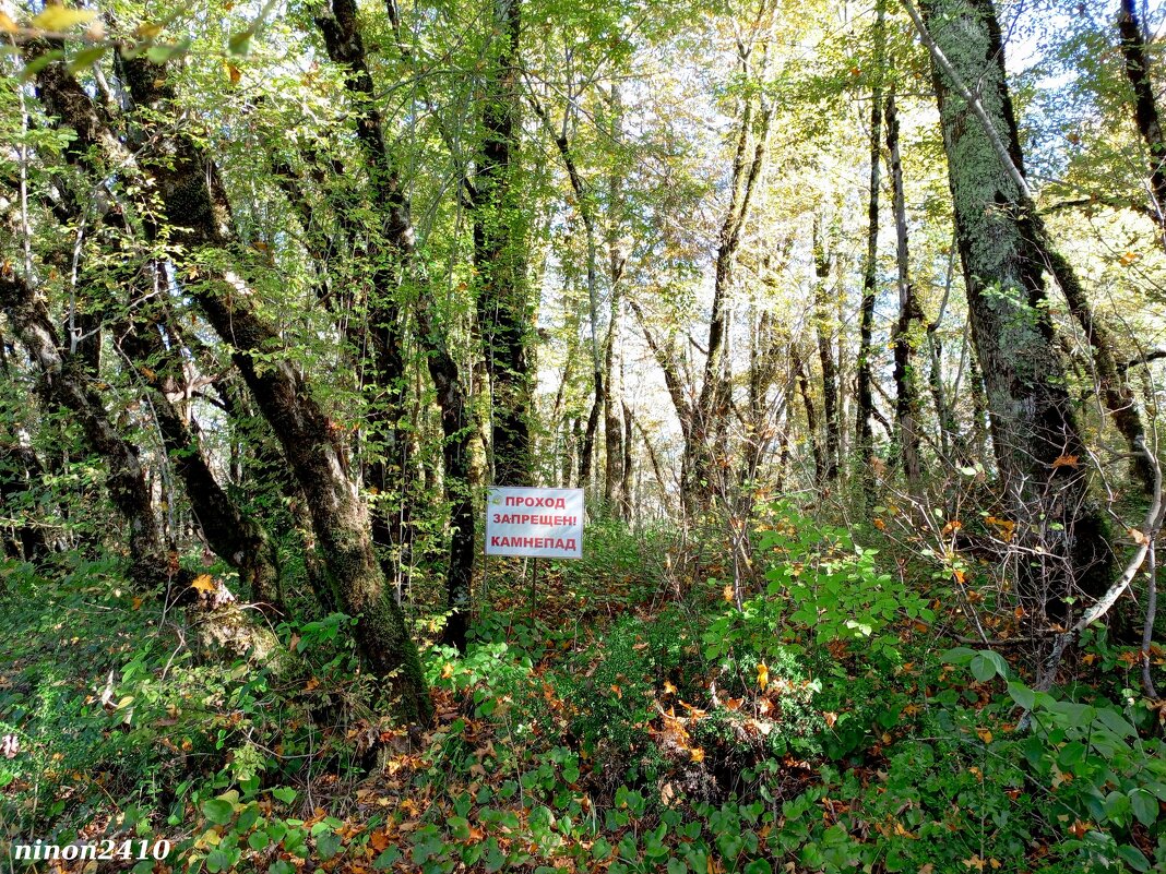 Адлер. Скайпарк - Нина Бутко