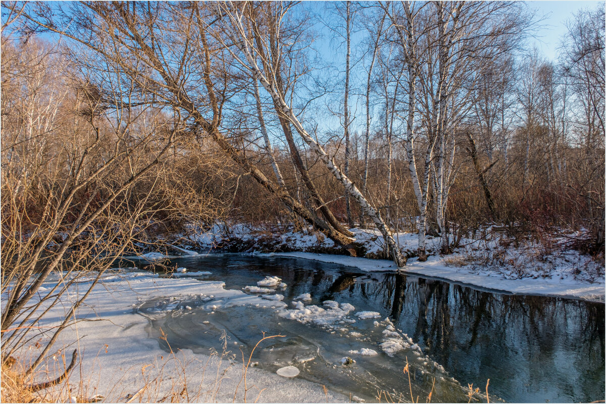 Зарисовка ноября - Алексей Мезенцев