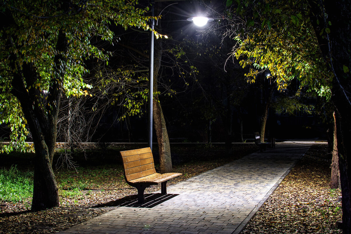 Алея. - Сергей 