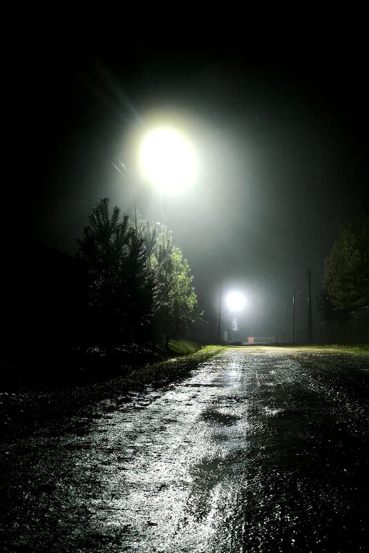 Туман - Александр Сансар