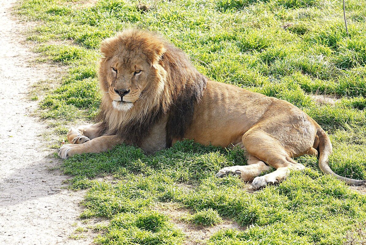 В парке Тайган - Татьяна Тюменка