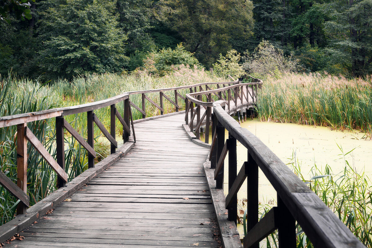 По дорожке заповедной - Валерий VRN