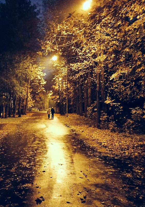 Прогулка осенним вечером - Елена Прогулка осенним вечером - Елена