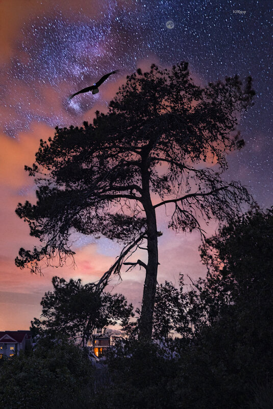 На закате - Shmual & Vika Retro