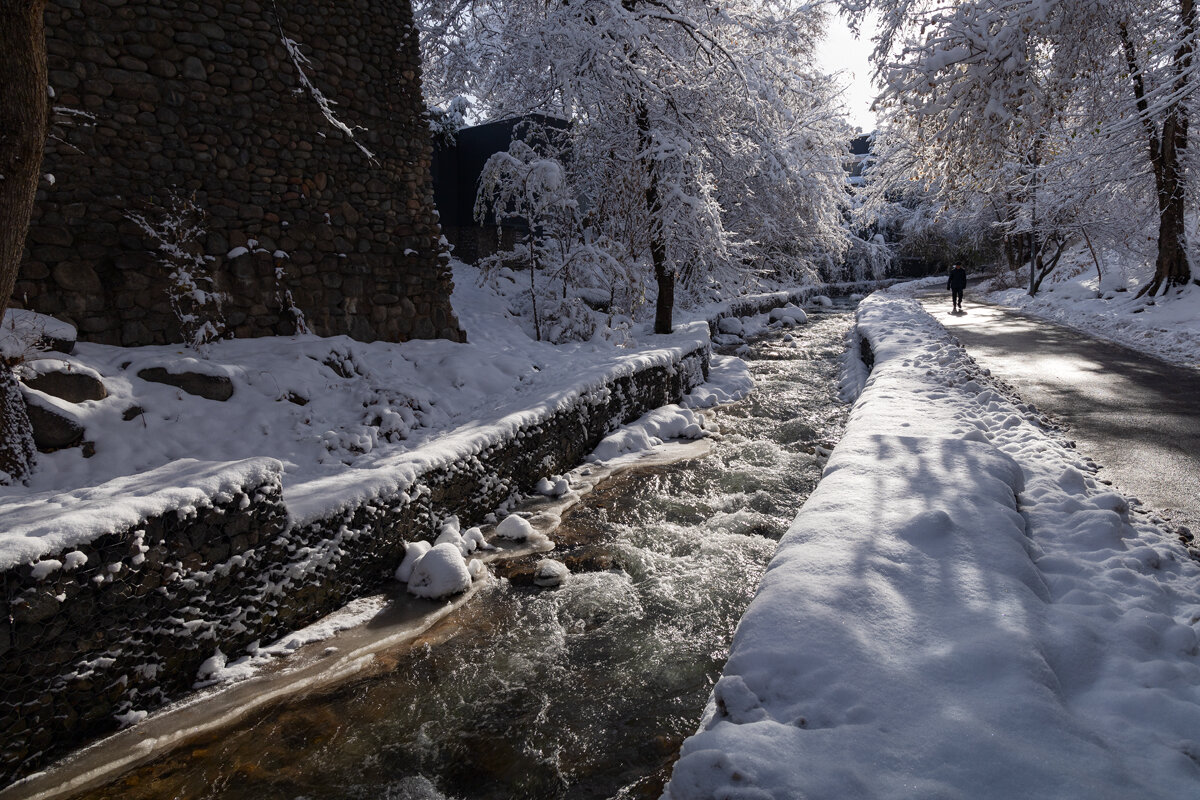 На прогулку выходи! - Алексей Большаков