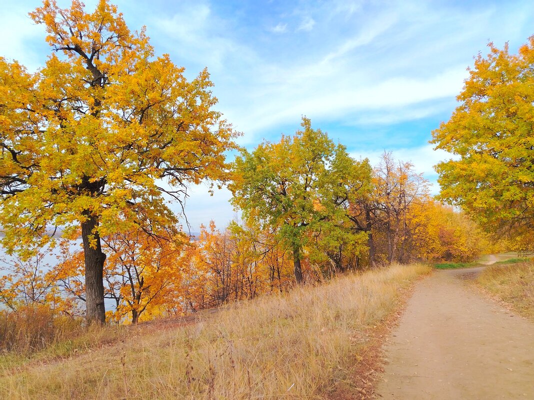 Золото осени - Надежда 